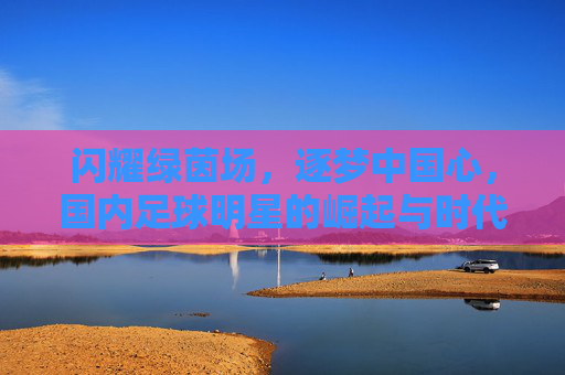 闪耀绿茵场，逐梦中国心，国内足球明星的崛起与时代印记