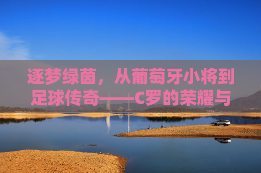 逐梦绿茵,从葡萄牙小将到足球传奇——C罗的荣耀与足球精神