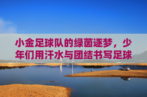 小金足球队的绿茵逐梦,少年们用汗水与团结书写足球故事,小金足球队,少年绿茵逐梦,以汗水与团结书写足球故事