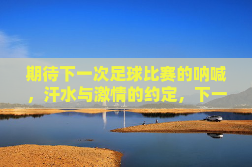 期待下一次足球比赛的呐喊,汗水与激情的约定,下一次足球的呐喊,汗水与激情的约定
