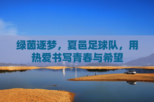 绿茵逐梦，夏邑足球队，用热爱书写青春与希望