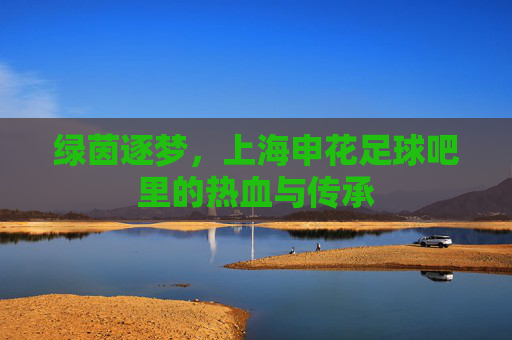绿茵逐梦，上海申花足球吧里的热血与传承
