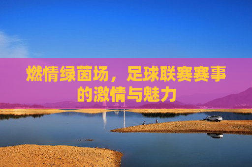 燃情绿茵场，足球联赛赛事的激情与魅力