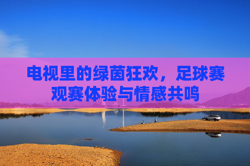 电视里的绿茵狂欢,足球赛观赛体验与情感共鸣