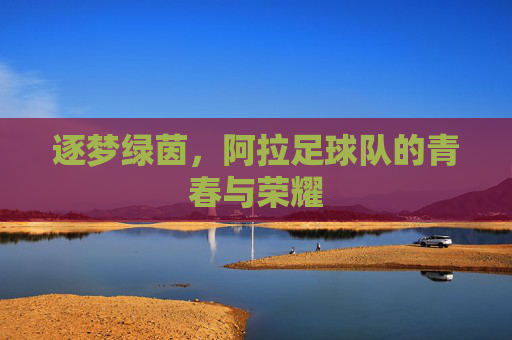 逐梦绿茵，阿拉足球队的青春与荣耀