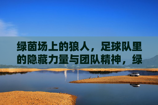 绿茵场上的狼人,足球队里的隐藏力量与团队精神,绿茵场上的狼人,足球队里的隐藏力量与团队精神