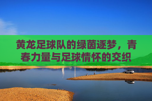 黄龙足球队的绿茵逐梦,青春力量与足球情怀的交织