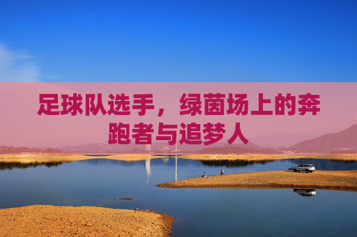足球队选手,绿茵场上的奔跑者与追梦人