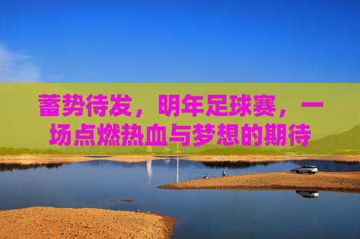 蓄势待发，明年足球赛，一场点燃热血与梦想的期待