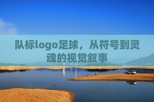 队标logo足球,从符号到灵魂的视觉叙事