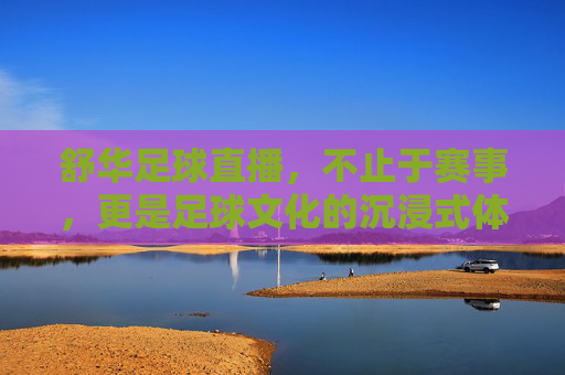 舒华足球直播,不止于赛事,更是足球文化的沉浸式体验
