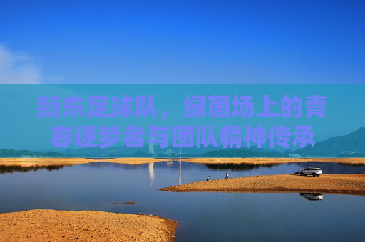 新东足球队，绿茵场上的青春逐梦者与团队精神传承