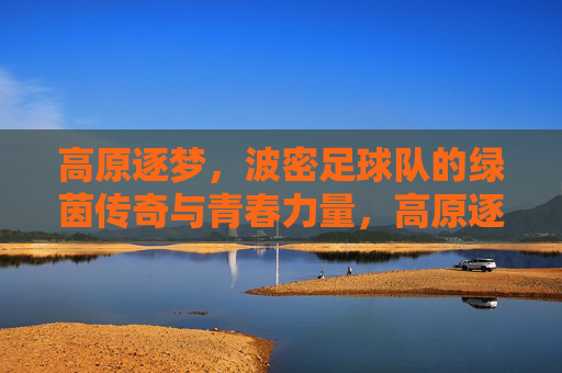 高原逐梦，波密足球队的绿茵传奇与青春力量，高原逐梦，波密足球队的绿茵传奇与青春力量