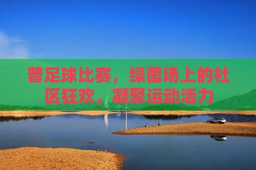普足球比赛,绿茵场上的社区狂欢,凝聚运动活力