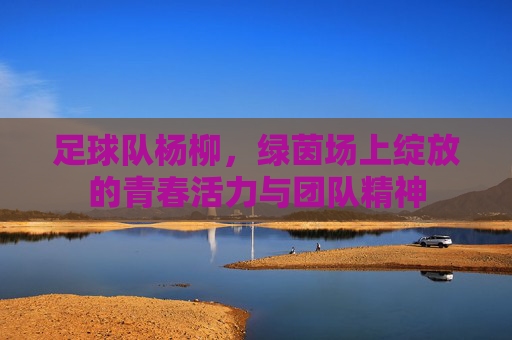 足球队杨柳,绿茵场上绽放的青春活力与团队精神