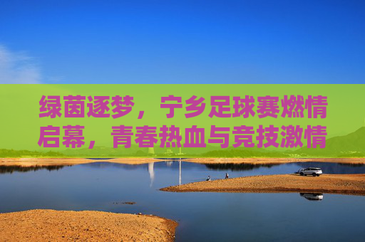 绿茵逐梦,宁乡足球赛燃情启幕,青春热血与竞技激情的碰撞