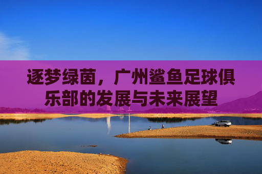 逐梦绿茵,广州鲨鱼足球俱乐部的发展与未来展望