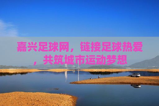 嘉兴足球网,链接足球热爱,共筑城市运动梦想