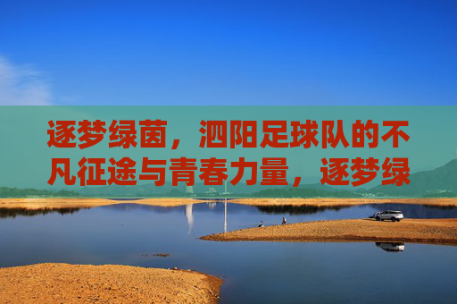 逐梦绿茵,泗阳足球队的不凡征途与青春力量,逐梦绿茵,泗阳足球队的不凡征途与青春力量