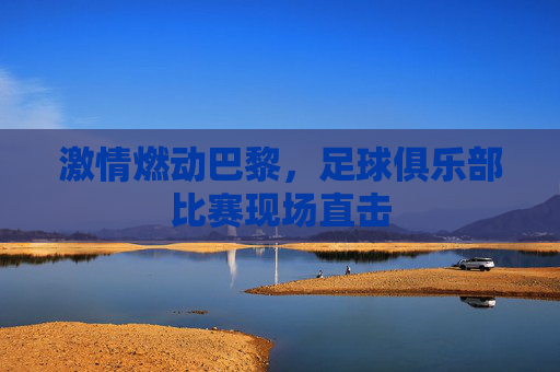 激情燃动巴黎,足球俱乐部比赛现场直击