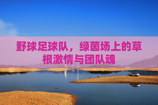 野球足球队,绿茵场上的草根激情与团队魂