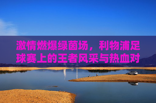 激情燃爆绿茵场,利物浦足球赛上的王者风采与热血对决,激情燃爆绿茵场,利物浦足球赛上的王者风采与热血对决