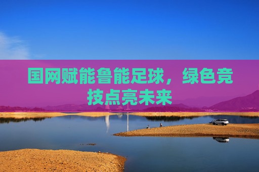 国网赋能鲁能足球，绿色竞技点亮未来
