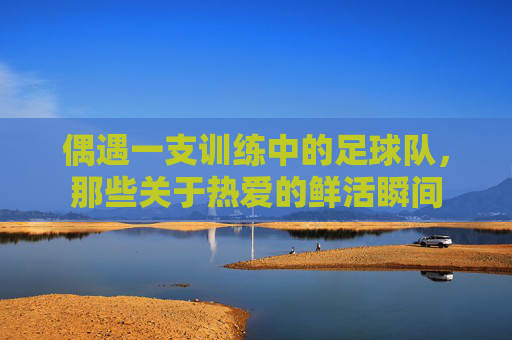 偶遇一支训练中的足球队，那些关于热爱的鲜活瞬间