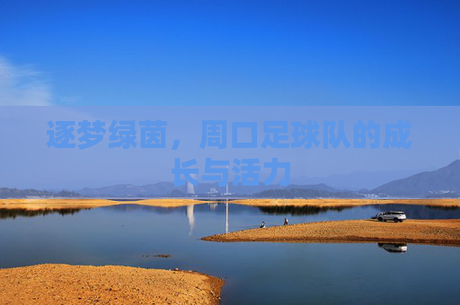 逐梦绿茵,周口足球队的成长与活力