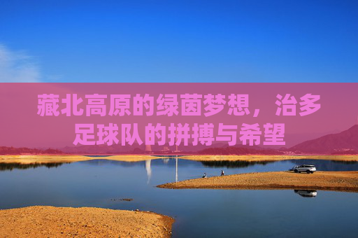 藏北高原的绿茵梦想,治多足球队的拼搏与希望
