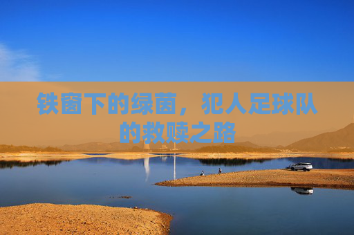 铁窗下的绿茵,犯人足球队的救赎之路