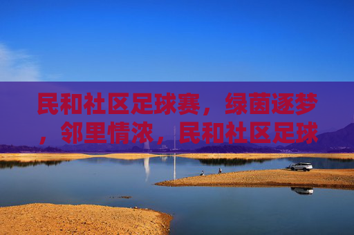 民和社区足球赛,绿茵逐梦,邻里情浓,民和社区足球赛,绿茵逐梦,邻里情浓