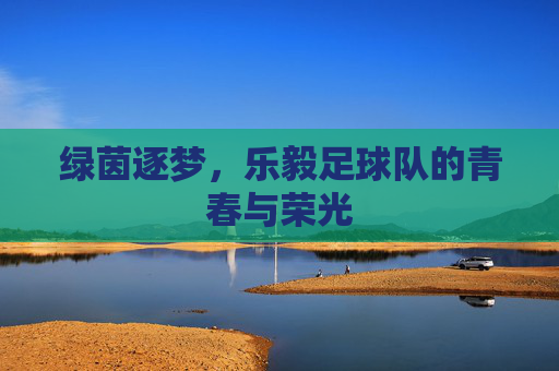 绿茵逐梦,乐毅足球队的青春与荣光