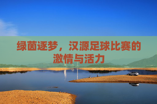 绿茵逐梦，汉源足球比赛的激情与活力