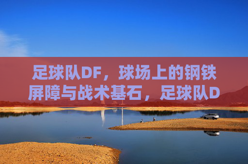 足球队DF，球场上的钢铁屏障与战术基石，足球队DF，球场上的钢铁屏障与战术基石