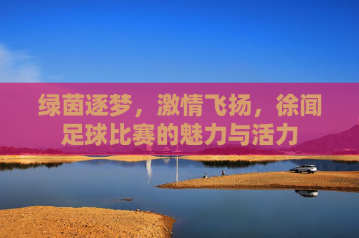 绿茵逐梦,激情飞扬,徐闻足球比赛的魅力与活力