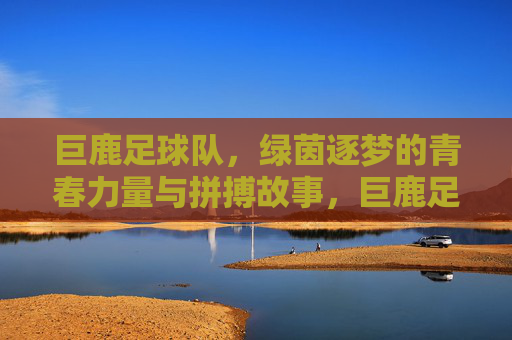 巨鹿足球队，绿茵逐梦的青春力量与拼搏故事，巨鹿足球队，绿茵逐梦的青春力量与拼搏故事