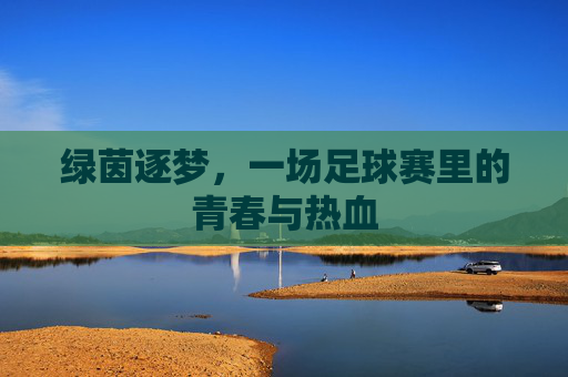 绿茵逐梦,一场足球赛里的青春与热血