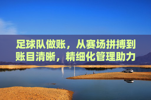 足球队做账，从赛场拼搏到账目清晰，精细化管理助力团队长远发展，足球队做账，精细化管理从赛场拼搏到账目清晰，助力团队长远发展