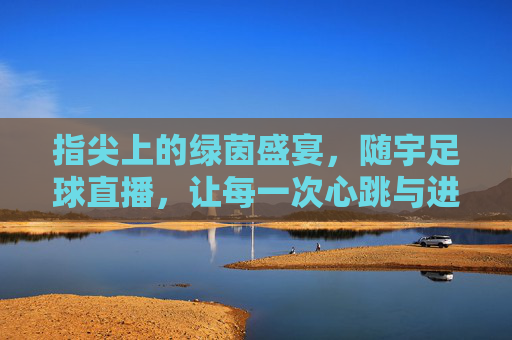 指尖上的绿茵盛宴，随宇足球直播，让每一次心跳与进球都清晰可感，指尖上的绿茵盛宴，随宇足球直播，让每一次心跳与进球都清晰可感