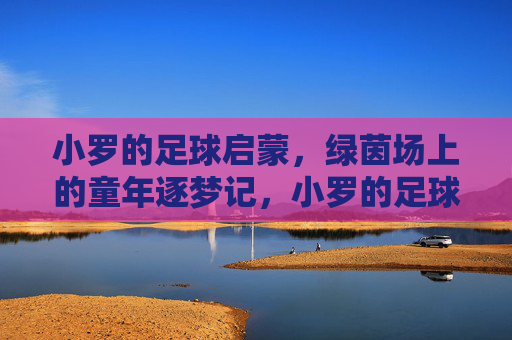 小罗的足球启蒙,绿茵场上的童年逐梦记,小罗的足球启蒙,绿茵场上的童年逐梦记