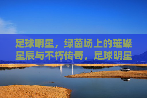 足球明星，绿茵场上的璀璨星辰与不朽传奇，足球明星，绿茵场上的璀璨星辰与不朽传奇