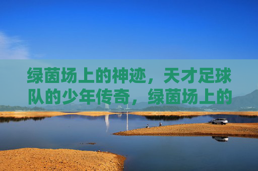 绿茵场上的神迹,天才足球队的少年传奇,绿茵场上的神迹,天才足球队的少年传奇