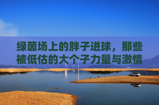 绿茵场上的胖子进球,那些被低估的大个子力量与激情,绿茵场上的胖子进球,被低估的大个子力量与激情