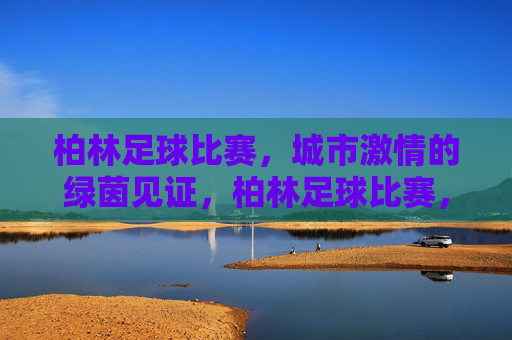 柏林足球比赛，城市激情的绿茵见证，柏林足球比赛，城市激情的绿茵见证