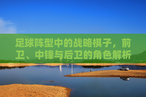 足球阵型中的战略棋子,前卫、中锋与后卫的角色解析,足球阵型中的战略棋子,前卫、中锋与后卫的角色解析