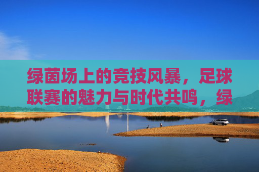 绿茵场上的竞技风暴，足球联赛的魅力与时代共鸣，绿茵场上的竞技风暴，足球联赛的魅力与时代共鸣