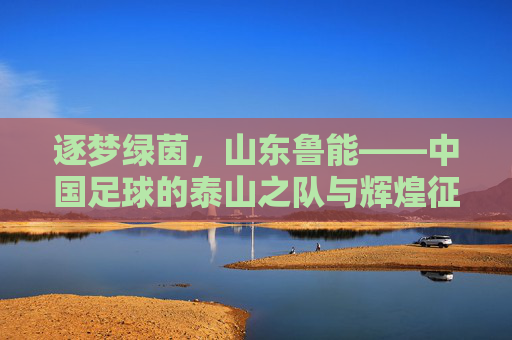 逐梦绿茵，山东鲁能——中国足球的泰山之队与辉煌征程，逐梦绿茵，山东鲁能——中国足球的泰山之队与辉煌征程