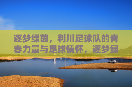 逐梦绿茵，利川足球队的青春力量与足球情怀，逐梦绿茵，利川足球队的青春力量与足球情怀