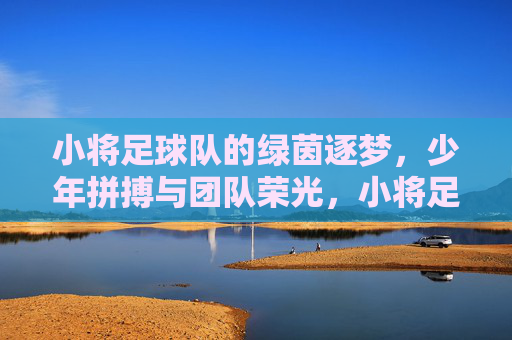 小将足球队的绿茵逐梦，少年拼搏与团队荣光，小将足球队绿茵逐梦，少年拼搏与团队荣光